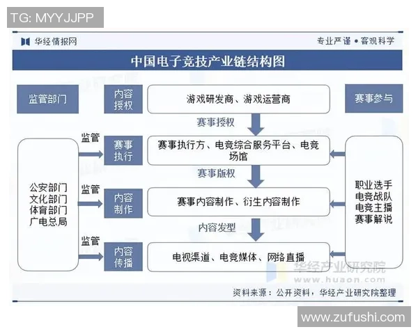 全球电子竞技产业发展趋势与职业选手生态体系构建全面深度解析