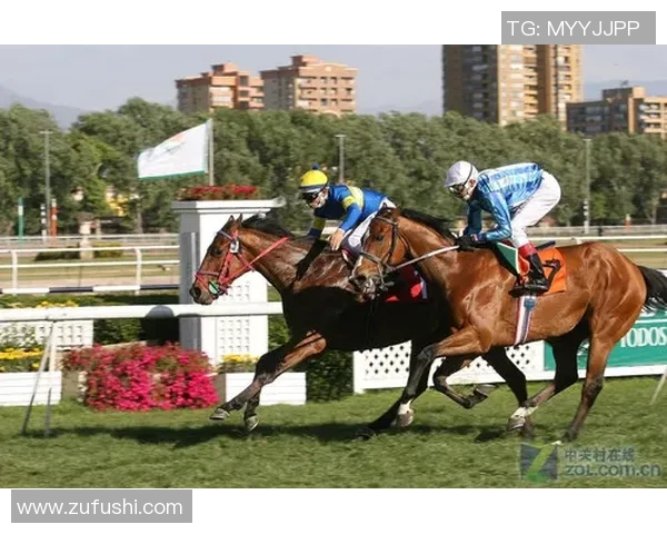 实时追踪全球热门电竞赛事比分动态尽享激情对战盛宴