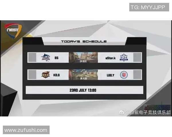 白鲨电子竞技俱乐部探索发展路径与未来电竞行业影响力分析